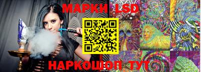 мдпв Новодвинск