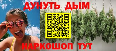 мдпв Новодвинск