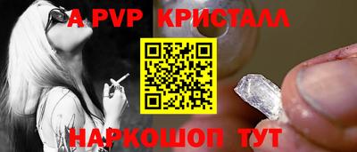 тгк Новозыбков