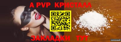тгк Новозыбков