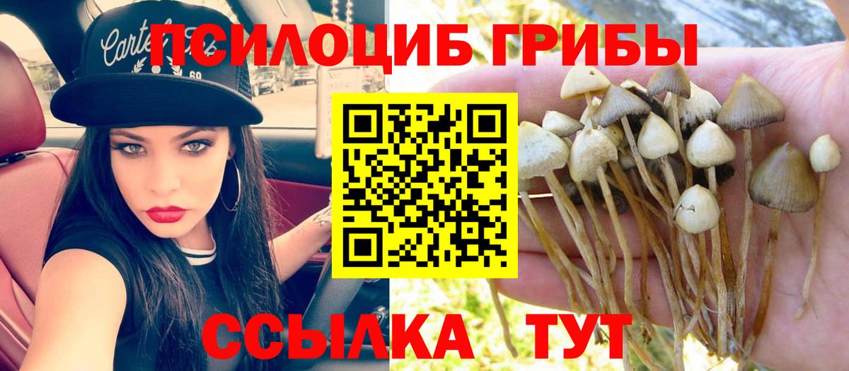 Псилоцибиновые грибы Magic Shrooms Саранск