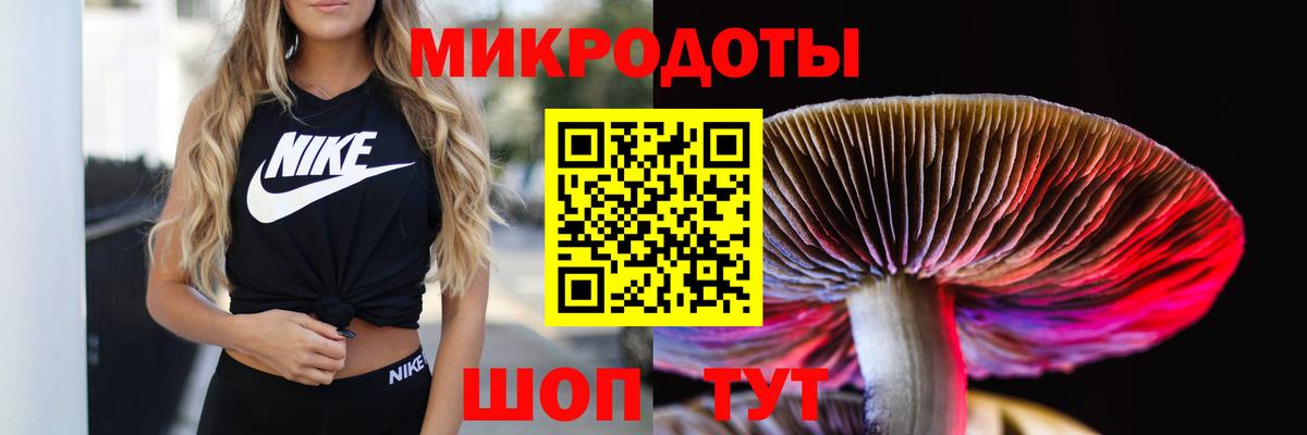 Галлюциногенные грибы Psilocybe  Вход с VPN  закладка  Саранск 