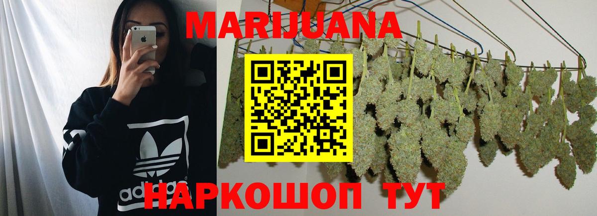 Псилоцибиновые грибы Саранск
